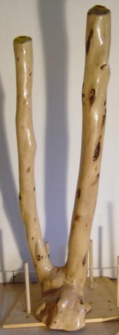 d01.jpg