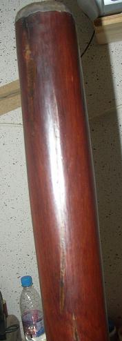 P1010065.JPG