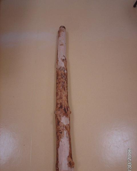 oui bon la il est bicolor, c'est parce que j'ai commencer a enlever lespece de sur couche, pour le rendre plus clair