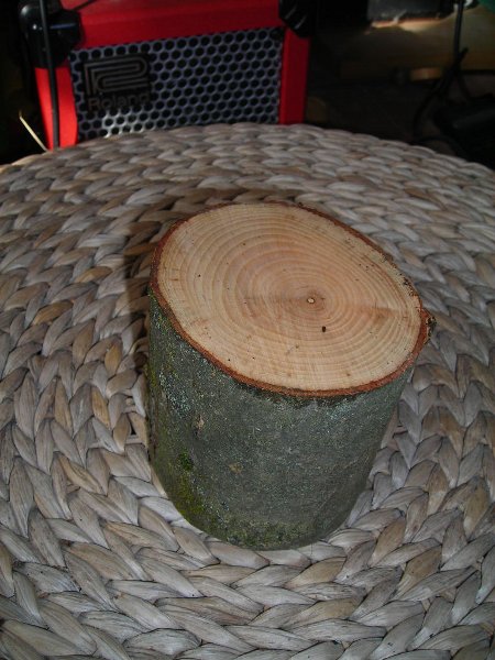 DSCN0091.JPG