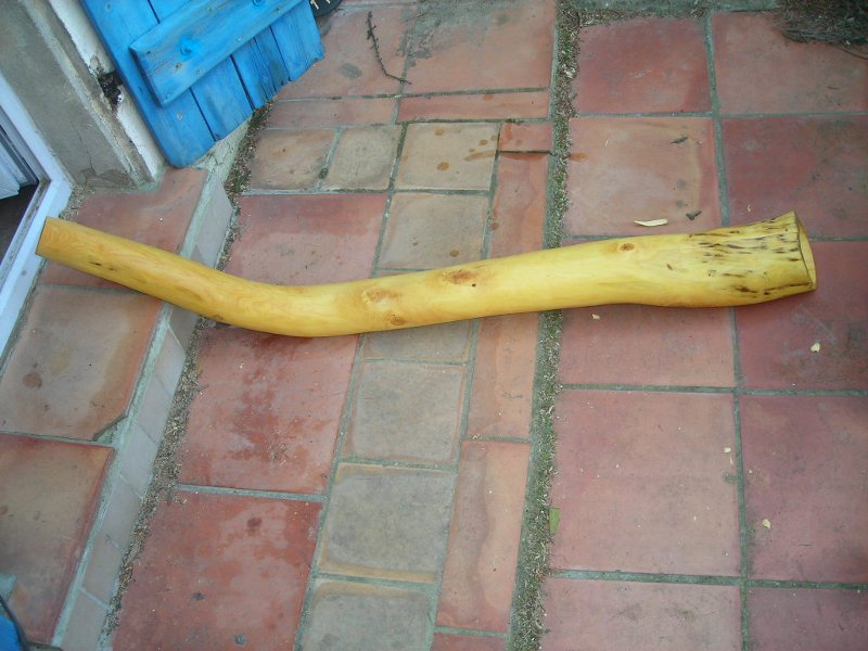 DSCN0123.JPG