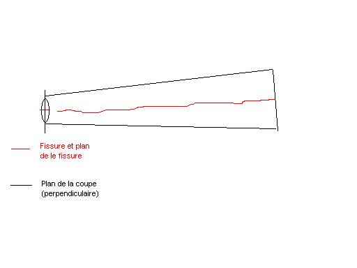 axe de la coupe.JPG