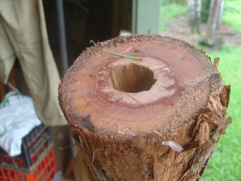 Dsc01742.jpg