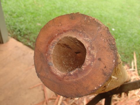 Dsc01748.jpg