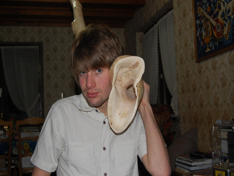 Qu'est ce qui dit???