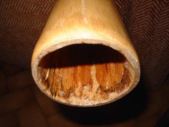 Dsc02144.jpg