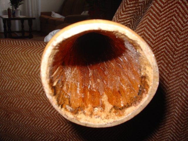 Dsc02145.jpg