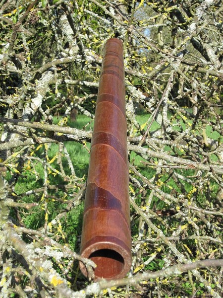 bamboo like.jpg