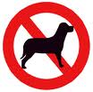 no dog.jpg