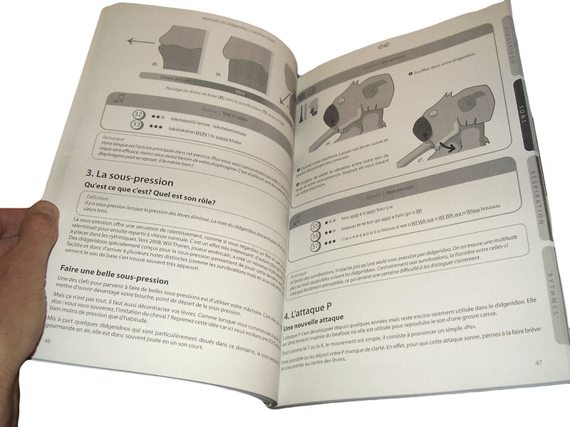 livre-mise-en-page.jpg