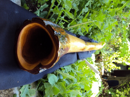 Cloche