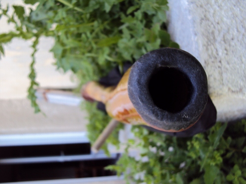 Embouchure