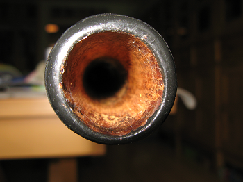 IMG_3915 bis.png