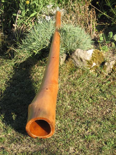 Celui qui fait tout, du tout doux au brutos, demandez aux poiteux... Avant d'être vernis, juste après quelques mois de retouches.