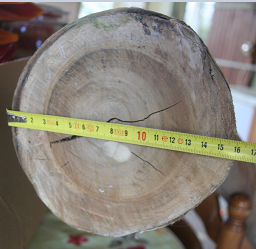 cloche (2).PNG
