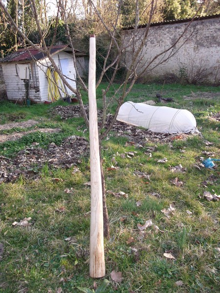 le potager.jpg