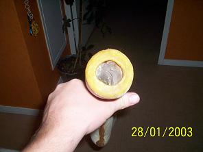embouchure.jpg