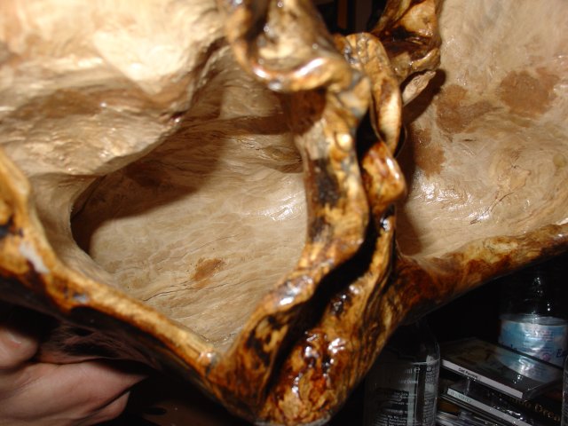 Dsc02720.jpg