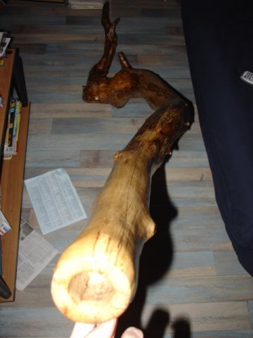Dsc02724.jpg