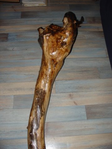Dsc02725.jpg