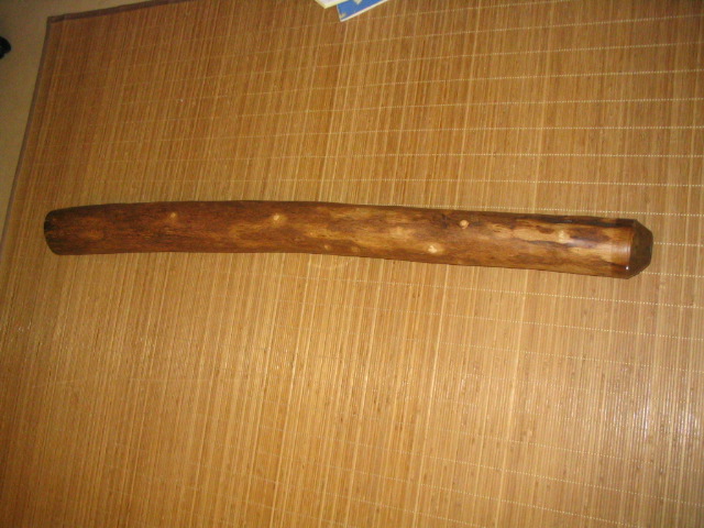 didg2 010.jpg
