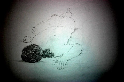 Image 007 Affichage Web moyen.jpg