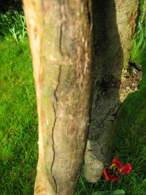 IMG_0570.JPG