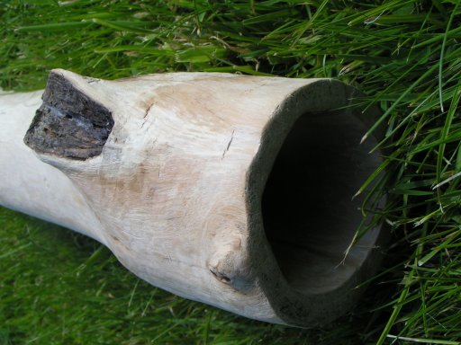 Pict0002.jpg