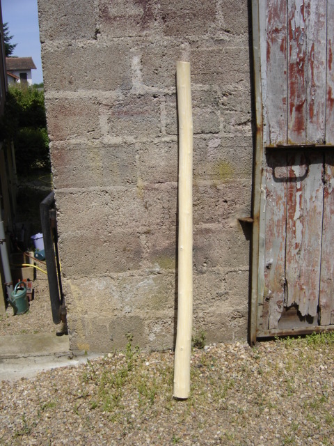 DSC02437.JPG