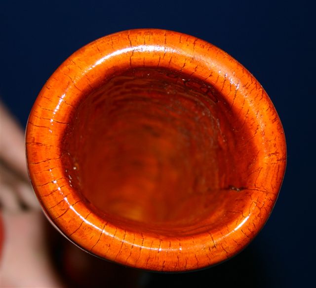 platane1.jpg