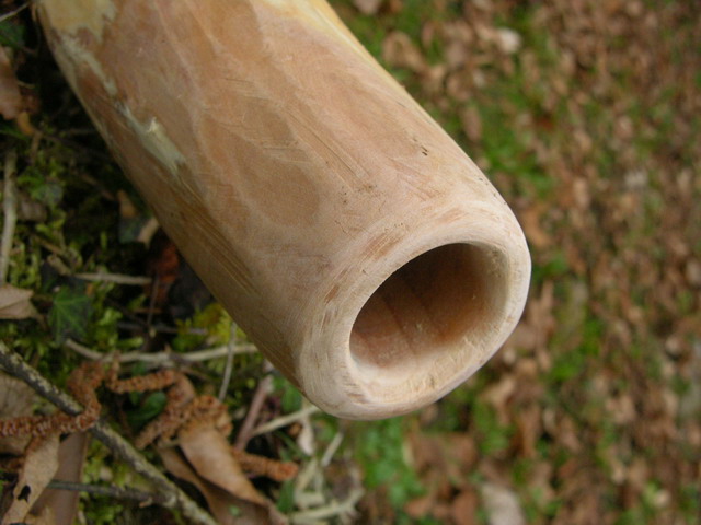 Embouchure.jpg