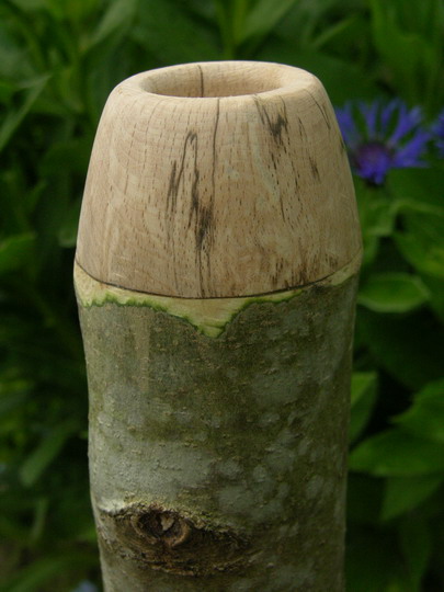 Embouchure en bois.jpg