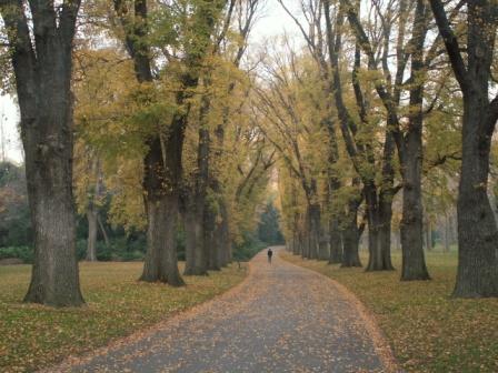 PICT0086.JPG