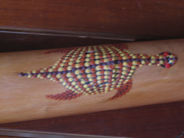 Ho la belle tortue !!!