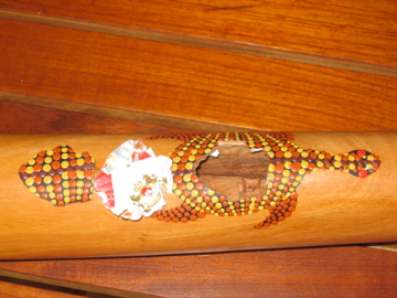 Ho la pov' tortue !!!