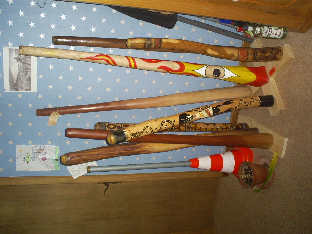 Donc voici ma forêt !!