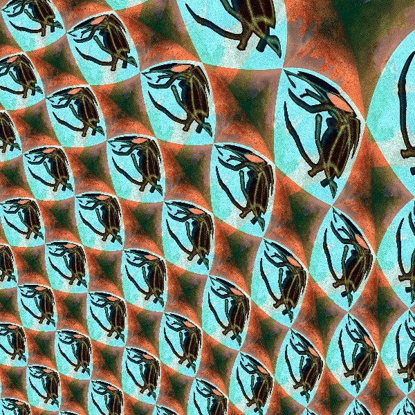 Bzzzzzz