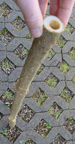 DSC00286_redimensionner.jpg