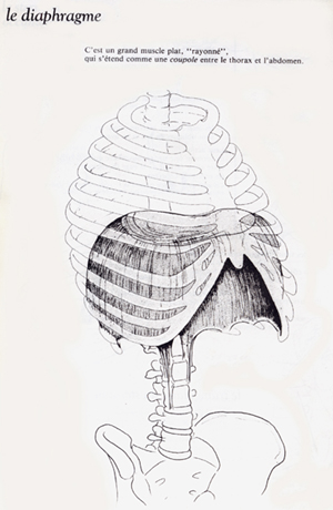 Diaphragme - Web.jpg