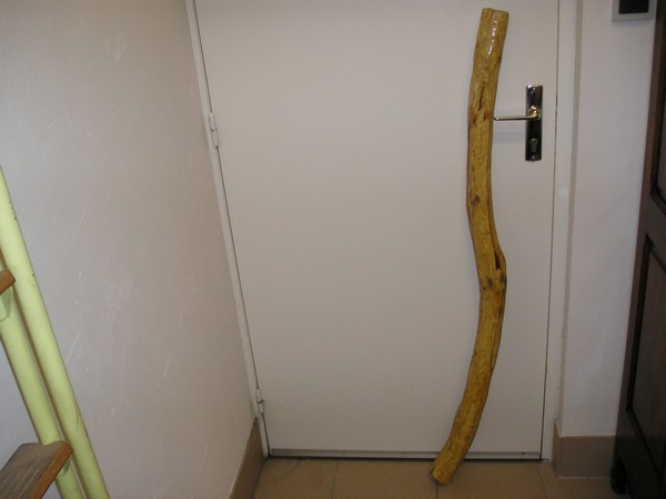 P1011351 réduite.jpg