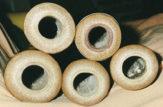EmbouchureBois2.jpg