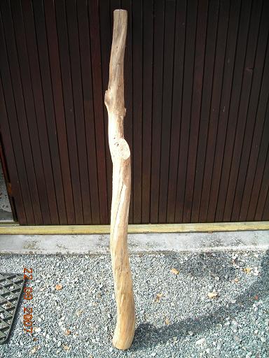branche coté fissuré