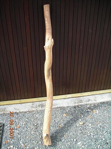 branche coté non fissuré