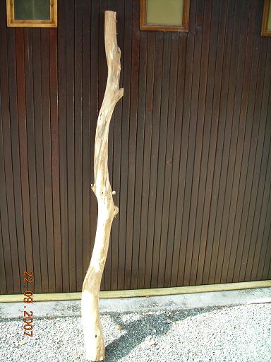 DSCN02592.JPG