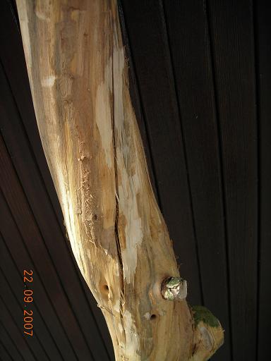 DSCN02582.JPG